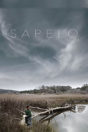 Sapelo's poster