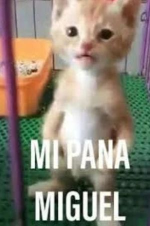 Mi Pana Miguel: La Película's poster