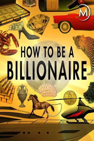How to Be a Billionaire's poster
