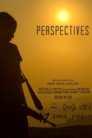 Perspectives's poster