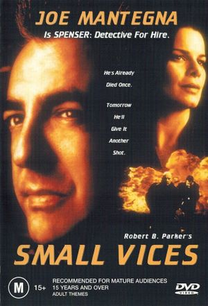 Small Vices's poster