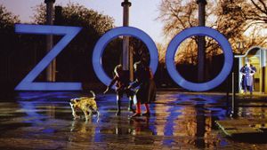 A Zed & Two Noughts's poster