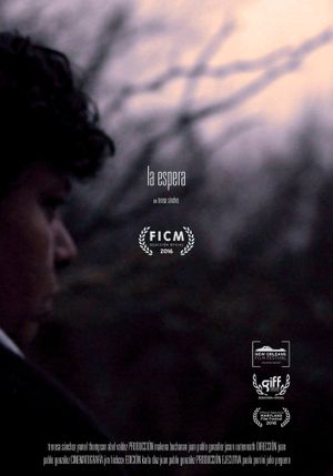 La espera (The Wait)'s poster