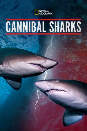 Cannibal Sharks's poster