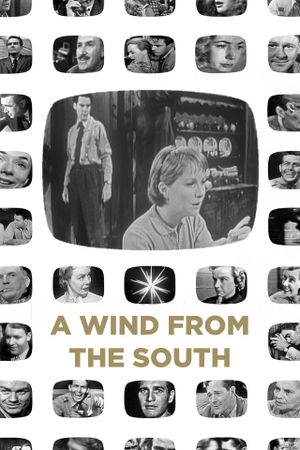 A Wind from the South's poster