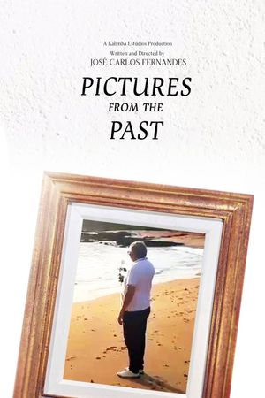 Pictures from the Past's poster
