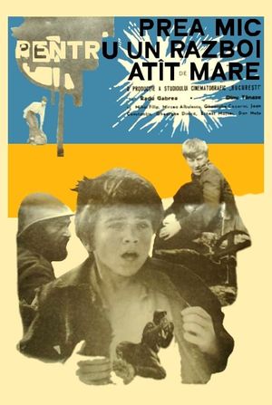 Too Little for Such a Big War's poster