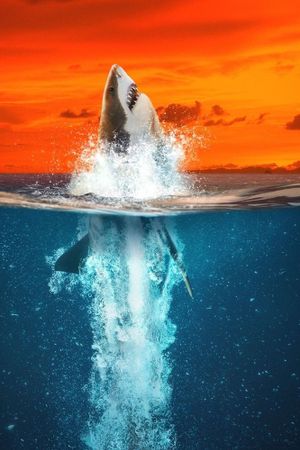 Air Jaws : Mordus de records's poster