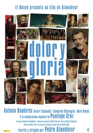 Pain and Glory's poster