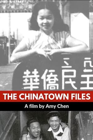 The Chinatown Files's poster