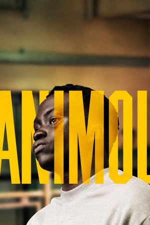 Animol's poster