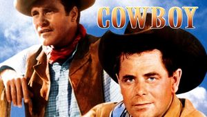 Cowboy's poster