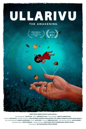 The Awakening's poster