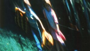 Kindering's poster