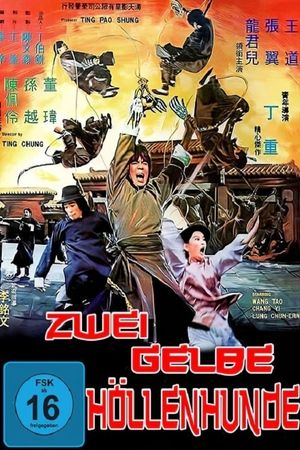Kung Fu Killers's poster