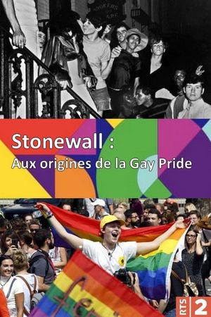 Stonewall: Paving the Way to Gay Pride's poster