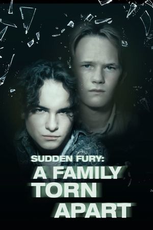 Sudden Fury's poster