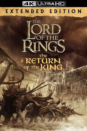 The Lord of the Rings: The Return of the King's poster