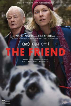 The Friend's poster