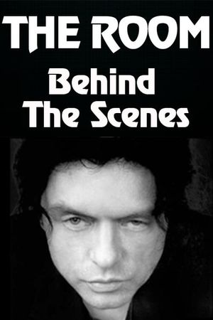 Behind the Scenes of "The Room"'s poster