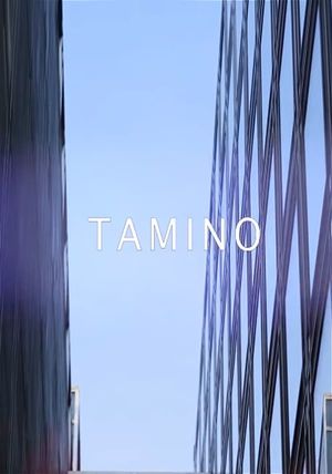 Tamino - live @ Les Concerts Volants's poster