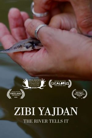 Zibi Yajdan's poster