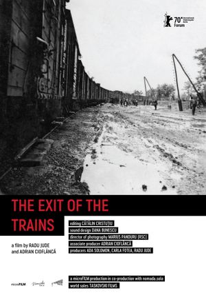 The Exit of the Trains's poster