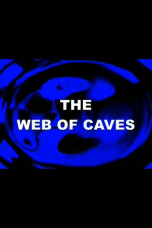 The Web of Caves's poster image