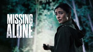 Missing and Alone's poster
