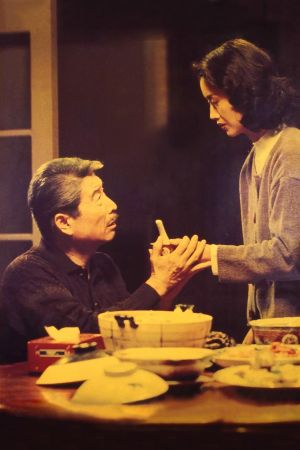 Eat Drink Man Woman's poster