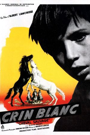 White Mane's poster