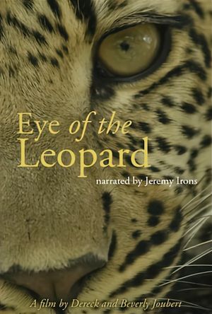 Eye of the Leopard's poster