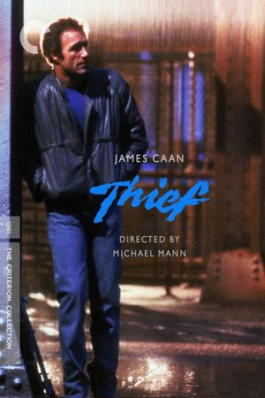 Thief's poster