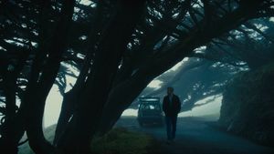 Beautiful Boy's poster