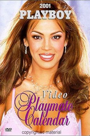 Playboy Video Playmate Calendar 2001's poster