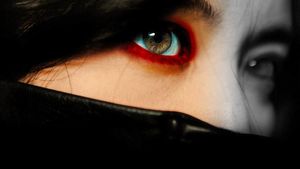 Lady Vengeance's poster