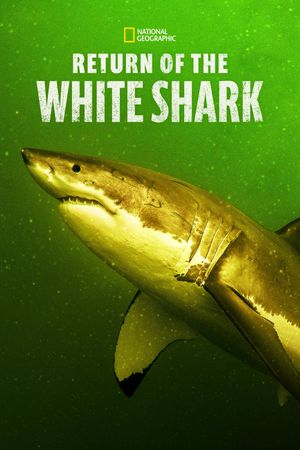 Return of the White Shark's poster