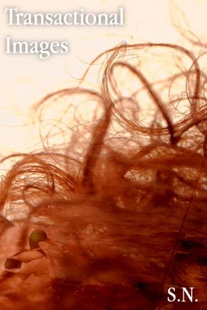 Transactional Images's poster