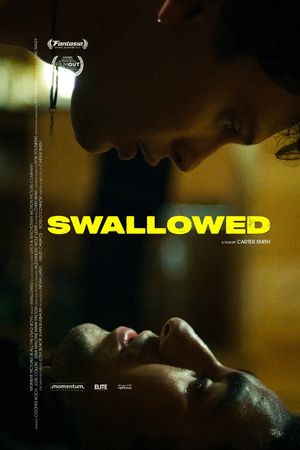Swallowed's poster