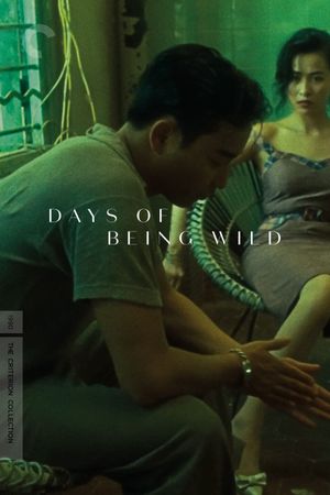 Days of Being Wild's poster