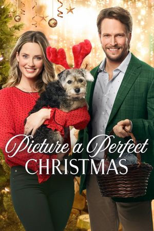 Picture a Perfect Christmas's poster