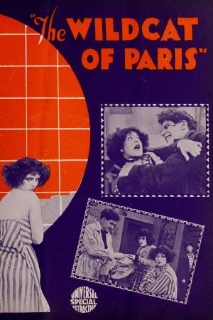 The Wildcat of Paris's poster