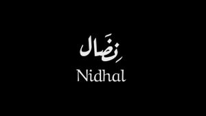 Nidhal's poster