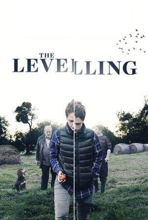 The Levelling's poster