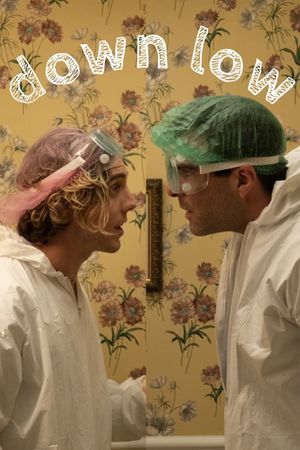 Down Low's poster