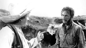 The Treasure of the Sierra Madre's poster