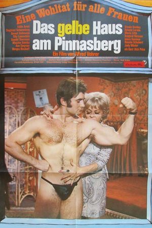 The Yellow House on Pinnasberg's poster