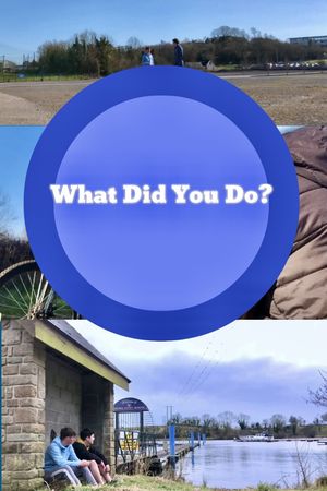 What Did You Do?'s poster