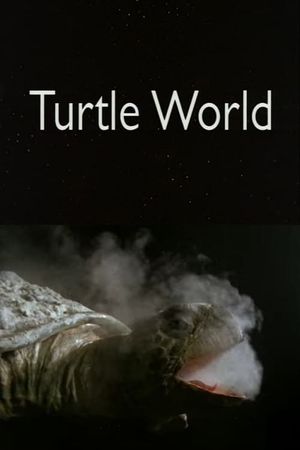 Turtle World's poster