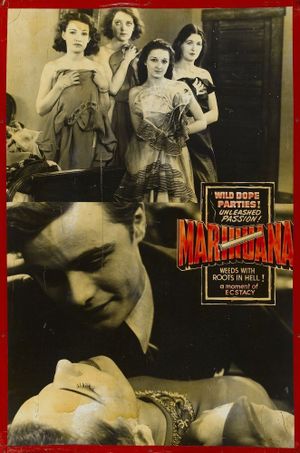 Marihuana's poster